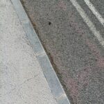 pexels-photosjaro-14756422